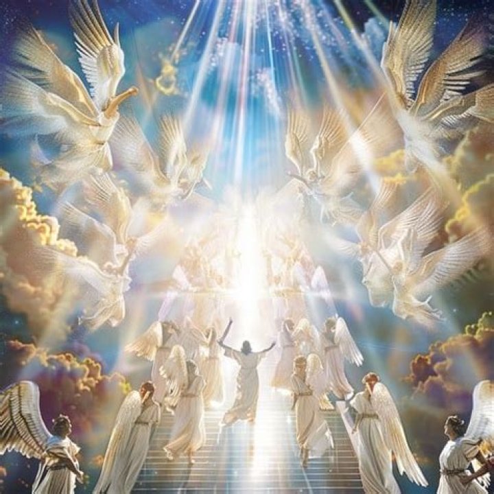 Embracing the Light: The Journey of Trans Angels